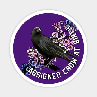 Assigned Crow At Birth Magnet